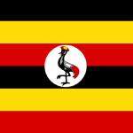 bandera de kenia ayuda sanitaria