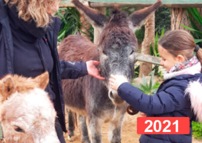 Ayuda a niños para la reparación del vínculo a través de la equinoterapia 2021