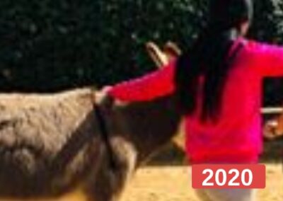 Ayuda a niños para la reparación del vínculo a través de la equinoterapia 2020